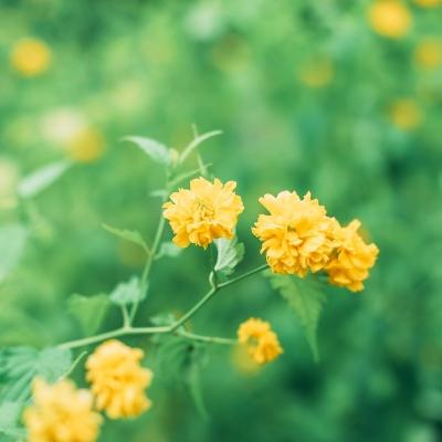 宝宝欢乐数字游戏下载